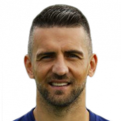 Vedad Ibisevic