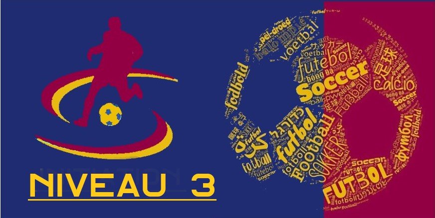 Logo Total football academy international application niveau 3