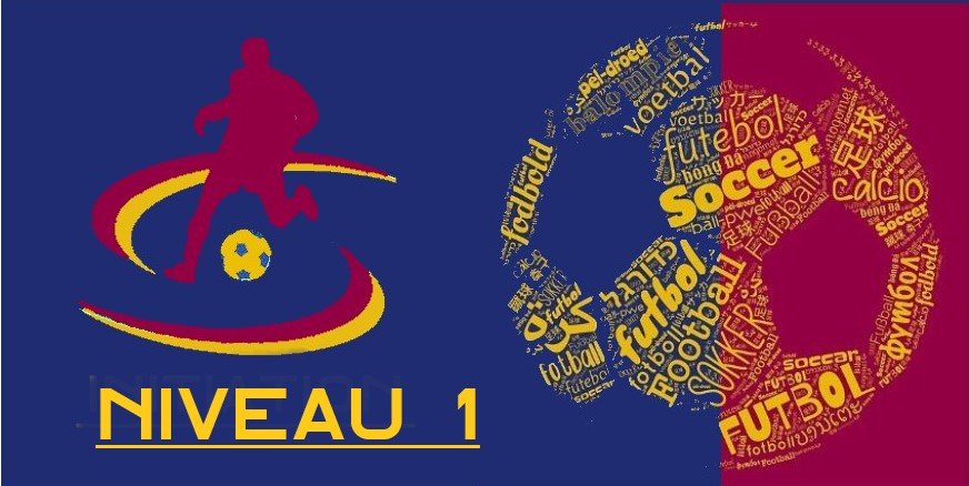 Logo Total football academy international application niveau 1.2