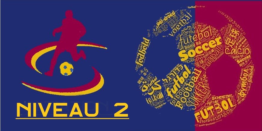 Logo Total football academy international application niveau 2